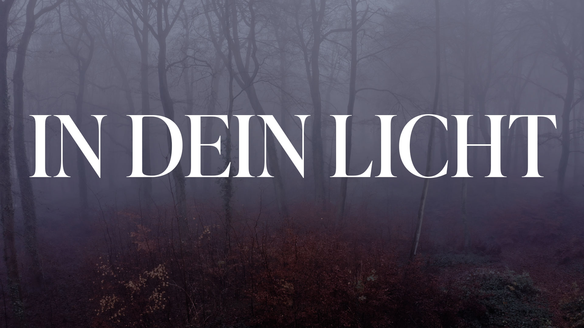 In dein Licht