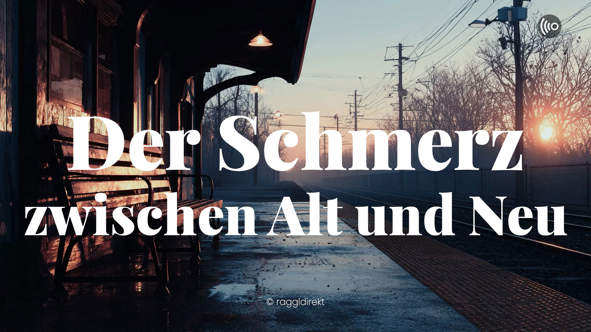 In dein Licht