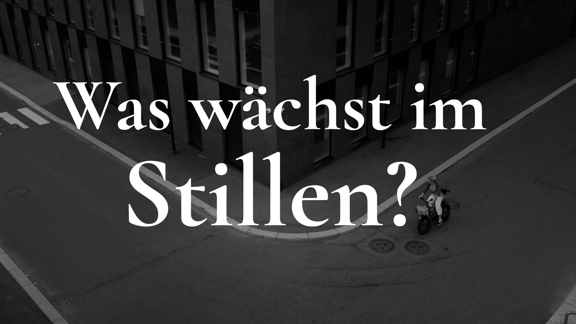 Was wächst im Stillen wenn nichts passiert