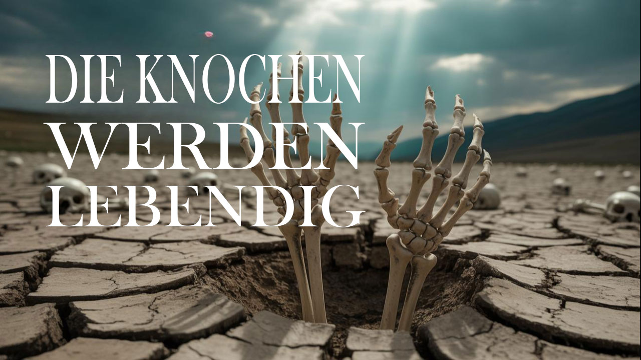 Ein Tal voller Knochen – und doch beginnt neues Leben